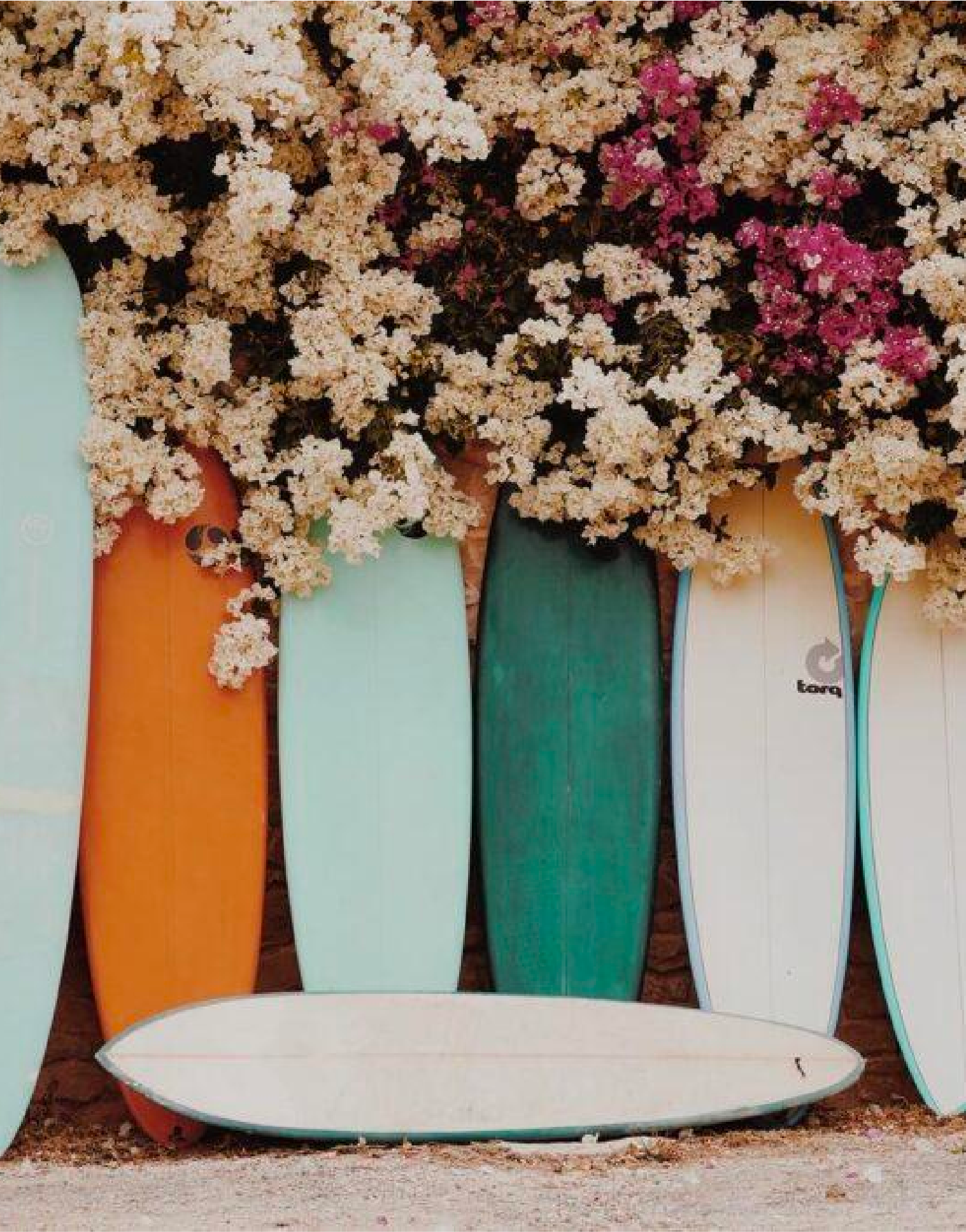 TheSurfSaltHouseMorocco-Surfboards